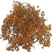 지리산한방식품 야생 마가목열매 건조300g/동의보감촌 지리산약초 정공실, 1봉, 300g