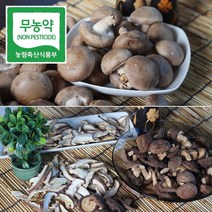 청전금산 친환경 무농약 생 표고버섯 1kg 산지직송, 슬라이스 건조표고 상품 100g, 1개