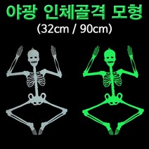 야광 인체골격 모형(중형 32cm)-IUA