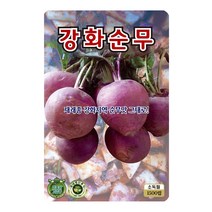 강화순무씨앗 1500립, 1500개