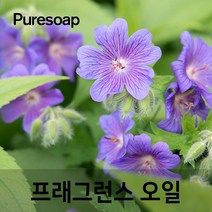 퓨어솝 제라늄(Geranium) 프래그런스오일 (인공향 캔들 디퓨저 방향제) 캔들 디퓨져 화장품 만들기, 50ml