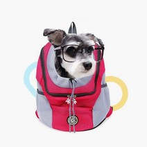 반려동물 애견 백팩 에어매쉬 이동가방 강아지 배낭, 블루