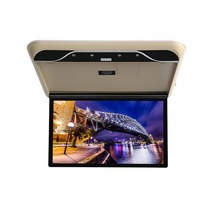 SUV 쏘렌토 카니발 천장모니터 차량용tv 펠리세이드 스마트모니터, 19인치 베이지