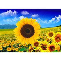 MJS 보석십자수 캔버스형 세트 50x40cm (비즈함 즈정) MH6, 행운 청사과- 꽃밭황금