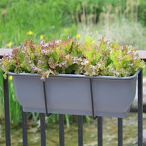 난간 플라스틱화분 60CM 길거리 옥상 대형 직사각 화분걸이대, 화이트