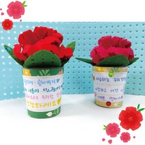 [펠트대장]카네이션 화분가습기만들기, 빨강색