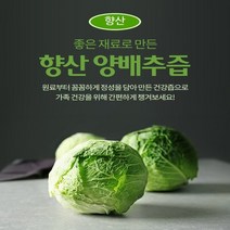 국내산 양배추즙50포 (자색양파즙 배즙 포도즙 닭발우슬즙 호박즙), 50포, 110ml