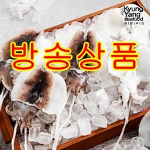 피시원 국산손질갑오징어 (냉동), 700g, 1팩