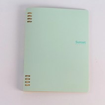 카와이 그린 쉘 루즈 리프 북 PP 바인더 노트북 저널 일기 일정 플래너 메모장 학교 문구 A5 10 홀, 03 B5