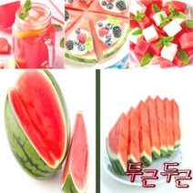 맛있는 고당도 씨없는수박 여름제철 설탕 화채 선물 당도 충북과일, 특왕(10~11kg)