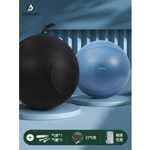 붕어 운동 기구 짐볼 의자 필라테스 보수 스트레칭, 워터패턴 블루  임산부케어 볼볼커버, 65cm신장 160-165cm