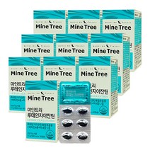 마인트리 루테인지아잔틴 영양제, 30정, 10개, 30정