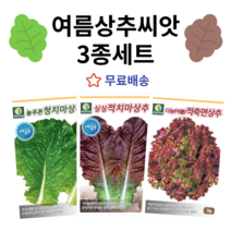 주주씨앗 다농 여름상추 씨앗 3종세트 여름 고온기 적치마 청치마 적축면 쌈채소 종자 상추씨