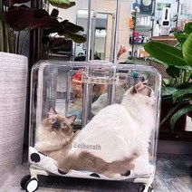 고양이가방 백팩 이동장 외출 애완견 방수 여행 캡슐, F