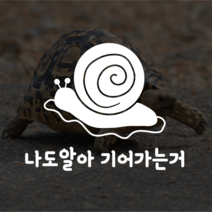 스티키 귀여운 일러스트 차량스티커 자동차스티커, 느림보B 화이트