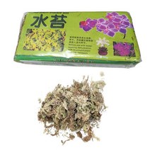 인조잔디매트 베란다 인조잔디 건조 이끼 천연 물 잔디 기판 칠레 화분 믹스 난초 다육 식물 뿌리 꽃 정원 용품