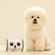 [움직이는노즈워크장난감] 스마트케어봇 코지 강아지움직이는장난감 펫CCTV 노즈워크 펫캠 간식로봇
