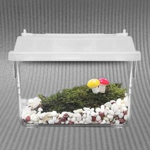 diy 식물 비바리움 테라리움 이끼 재료 테라리움만들기