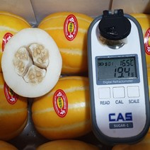 제철과일 성주참외 못난이 꿀 하우스 참외 2.5kg 5kg, 혼합과, 가정용 혼합과 (6~8과) 2.5kg