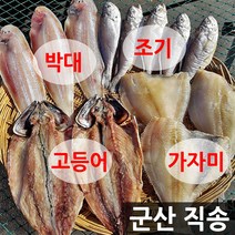 장스토어 한끼용 반건조 생선 박대 조기 고등어 가자미, 1개, 한끼용 생선