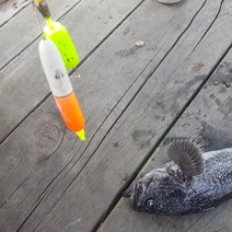 4종 원투 좌대 선상 실내낚시 DGF다자바자동챔질기 가두리낚시 자연식입어식-단품1개, 선상낚시용, 1개