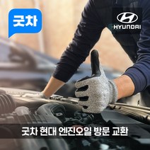 굿차 출장 엔진오일 교환 현대 - 제네시스 BH DH 쿠페, 프리미엄 100%합성 오일, BH 5.0 가솔린 (11-13년), 1개