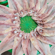 반건조 옥돔 8마리 특대 (290g~330g이내) 옥두어 제주도 동문시장 한일농수산 *선물용 추천 사이즈* 3월한정이벤트 100%착즙쥬스 천혜향 or 한라봉쥬스 1병 증정, 반건조옥돔 (290g이상) 8마리