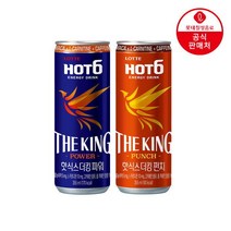 롯데칠성 핫식스 더킹 355ML 24캔파워펀치, 24개
