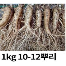 선물인삼 원삼 5년근 대사이즈 1kg 10-12 뿌리 (선물용 홍삼용 실속인삼) 금산, 금산인삼 1kg(10-12)1