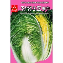 장생 3호 배추 씨앗 1000립 속 잎 노랗고 맛 좋은 김장 배추김치 고소한 텃밭 채소 농사