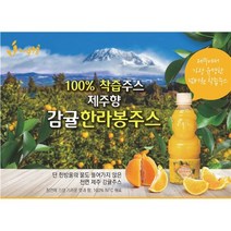 제주향 한라봉 천혜향 골라먹는 제주주스 가장최근만든 착즙 NFC 감귤주스 제주마씸 1병, 천혜향 1개