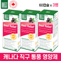 벨라이프 가우트 릴리프 60베지캡슐 3병 통풍 영양제 요산 배출 고농축 블랙체리 바나바잎 추출물 마그네슘 등 함유 캐나다 정품 직구 BELL LIFESTYLE GOUT RELIEF
