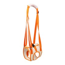 장애견 노견 하네스 뒷다리 보조띠 재활훈련 슬개골 보조, XL (사이즈표 참고), 오렌지