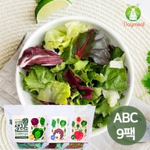 데이밀 자연을담은 샐러드 실속 혼합구성 100g x 9팩 국내산 ABC야채믹스, 양파드레싱 9개