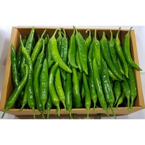 영프레시 오이고추 상품 가락시장 당일경매 (가격변동) - 2kg / 5kg, 오이고추 2kg