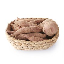 [산지직송] 안면도 황토 꿀 호박고구마 (한입)5kg, 단품
