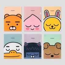 아트박스/퍼니디 카카오프렌즈 L홀더 파일, 옵션선택:네오