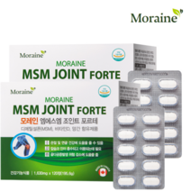 모레인 엠에스엠 뼈영양제 MSM 식이유황 글루코사민 관절 보스웰리아 초록입홍합 분말 비타민D 120정 2통