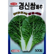 (씨앗) 경신쌈배추 - 맛있는 잎쌈 전용 소형배추 씨앗 종자 - 500립, 1개