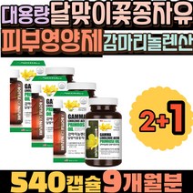 대용량 달맞이꽃오일 감마리놀렌산 240 피부영양제 달맞이꽃종자유 비타민E 생리영양제 건강기능식품 생리전증후군영양제 콜레스테롤낮추는법 여성영양제 장모님영양제 엄마선물 비타민E