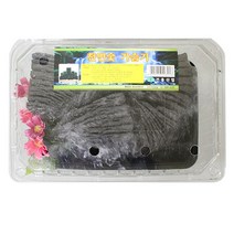 공기정화용 숯 숯가루 국내산 참숯 냄새 새집증후군 제거 습기