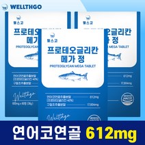 웰스고 프로테오글리칸 메가 정 360mg 프로태오글리칸 연어코연골 추출물 프로테오클리칸, 3개, 600mg, 60정