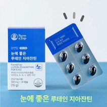 눈에좋은영양제 성인 청소년 루테인 비타민 에이 지아잔틴 빌베리 추출물 팜엔탑 LUTEIN 뉴테인 루데인 30캡슐