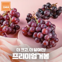 지앤제이 고씨네 특급 거봉2kg 크림슨포도 수입포도 아도라포도, one color, free