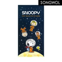 스누피 더문50 미니 비치타올 1장＋비치백, 1장