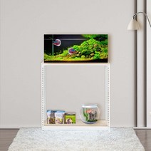 축양장 어항다이 선반 2단 500 x 400 x 600, 화이트