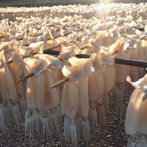 건어물 말랑장족 말랑컷팅장족 100g 내외 1봉 건어물사이트 건어물도매, 단품