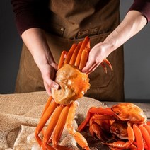 선주 산지직송 속초 (고급 최고급형)박달홍게 입항일에만 발송, 고급(5~600g), 생물 0원, 7마리