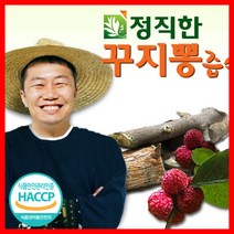 꾸지뽕열매 인기 상품 추천 목록