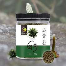국내산 와송환 250g 바위솔 와송, 와송환250g, 1개